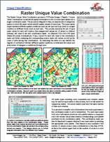 82RastUniqueValueComb