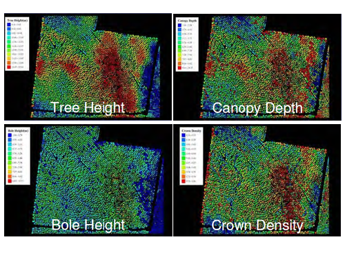 Lidar Scripts from Terranean Mapping